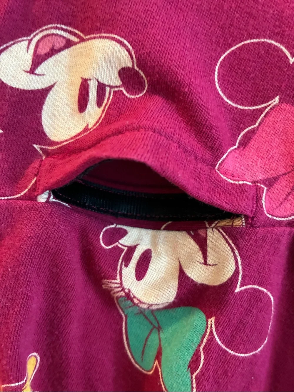 Disney Adaptive Girls' Minnie Mouse Burgundy Long Sleeve Dress - 3T
